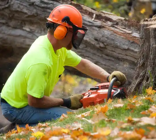 tree services Centertown